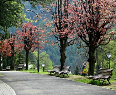 Szczawnica w Pieninach
