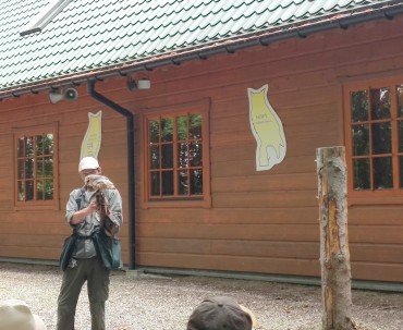 Pokaz lotu sów na terenie ustrońskiego parku