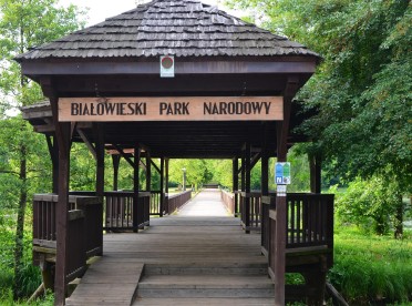 Białowieski Park Narodowy na Podlasiu