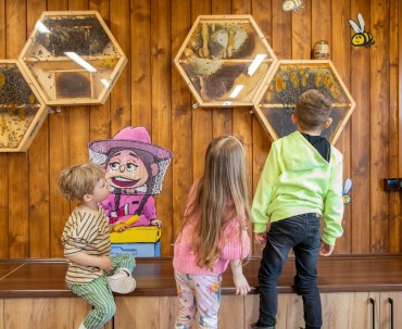 Przeszklone ule do obserwacji pszczół