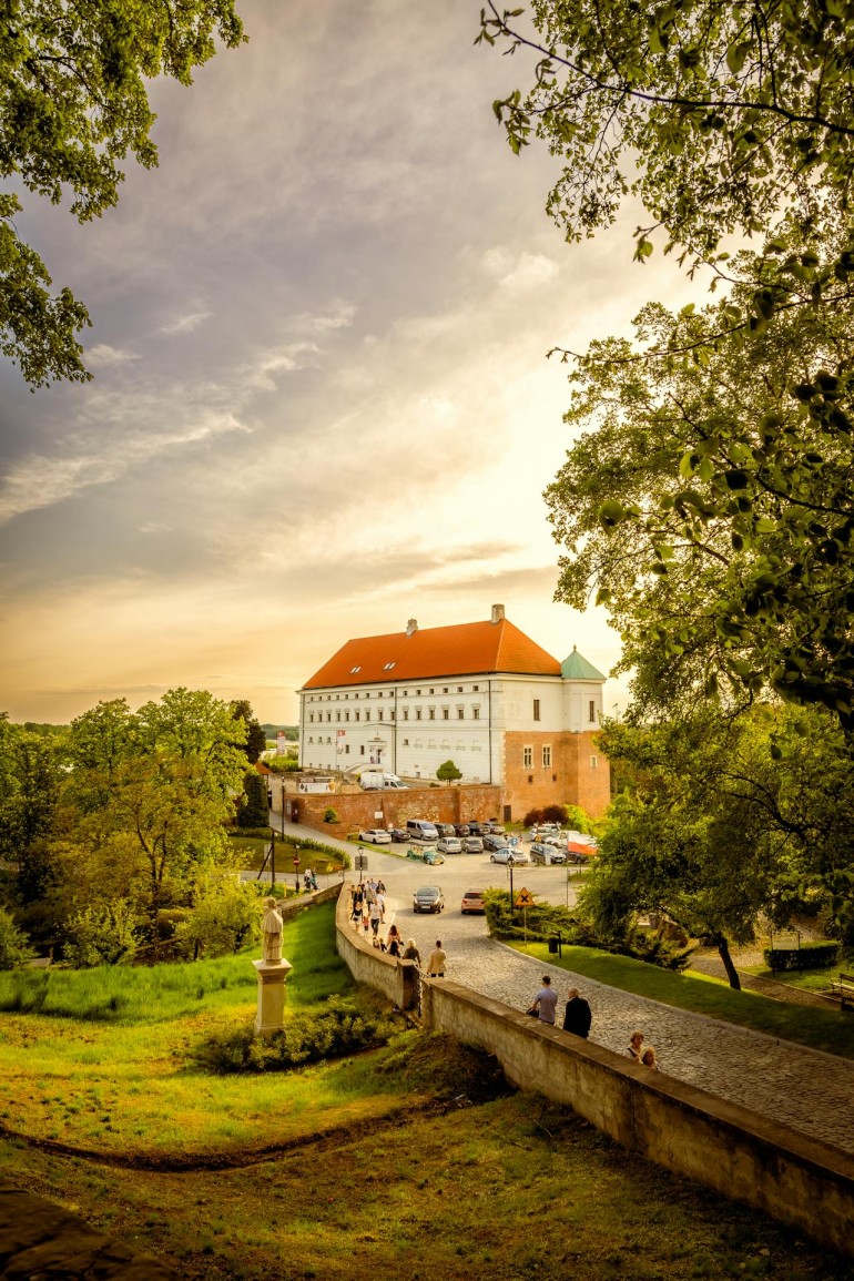 Muzeum Zamkowe w Sandomierzu