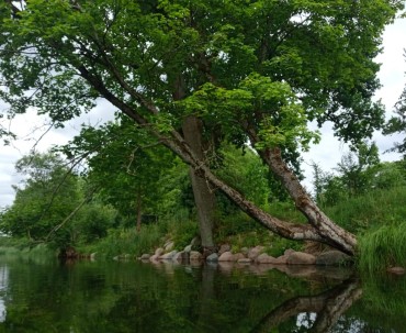 Widok na Mazury z perspektywy wody