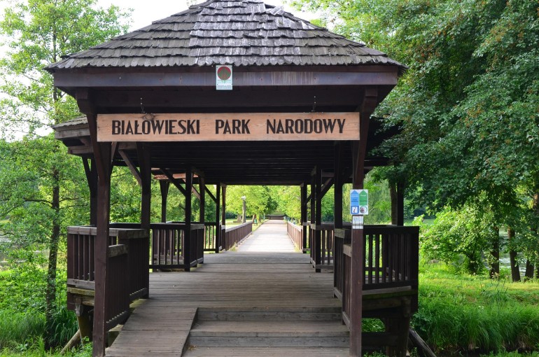 Białowieski Park Narodowy na Podlasiu
