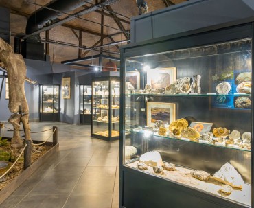 Muzeum Ziemi w Jura Parku w Solcu Kujawskim