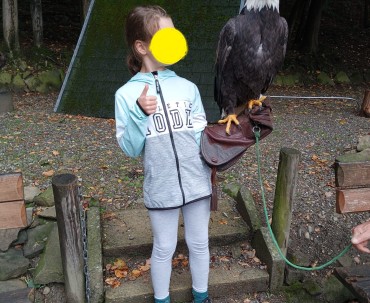 Możliwość sfotografowania z imponującym Bielikiem amerykańskim po pokazie lotów ptaków drapieżnych w Leśnym Parku niespodzianek