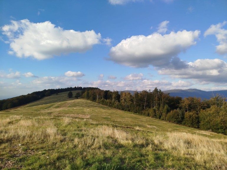 Widoki na trasie pieszych wędrówek po Beskidzie Śląskim
