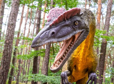 JuraPark w Solcu Kujawskim będący elementem wycieczki szkolnej na Kujawy: Toruń i Jura Park