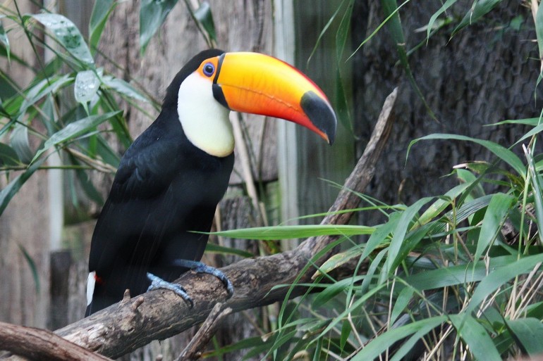 Egzotarium w Sosnowcu będące świetnym pomysłem na wycieczkę szkolną w każda pogodę
