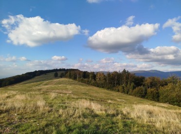 Widoki na trasie pieszych wędrówek po Beskidzie Śląskim