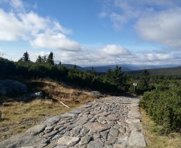 Ścieżka w Karkonoszach