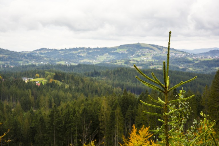 Mała Pętla Beskidzka - piękny widok w Wiśle
