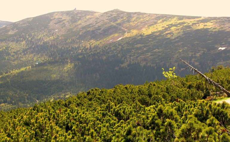 Sudety i widok na obserwatorium Śnieżka