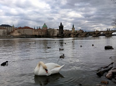 Widok na rzekę Wełtawę w stolicy Czech: Pradze