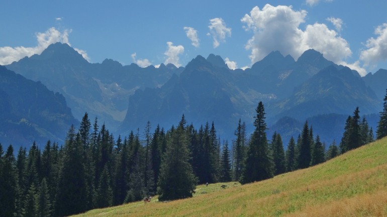 Rusinowa Polana w Tatrach Wysokich