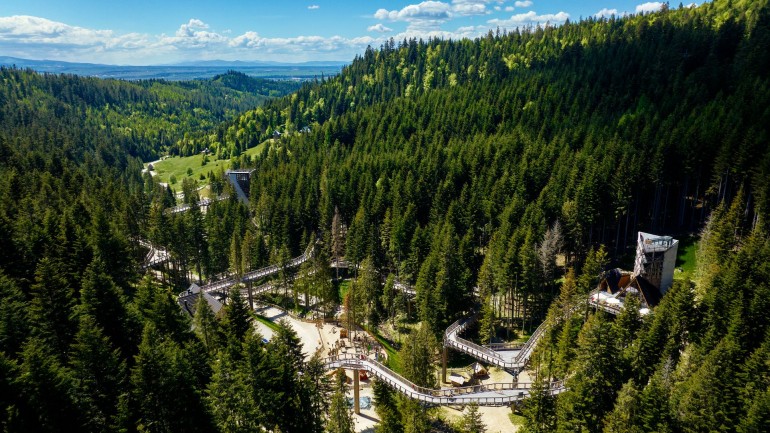 Ścieżka w koronach drzew Brama w Gorce