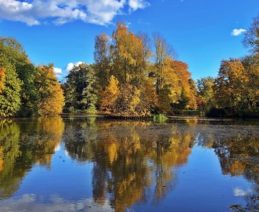 Staw "Cyranka" w zabytkowym Parku Pszczyńskim
