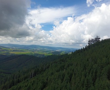 Widok ze Sky Bridge na Ścieżkę w Obłokach