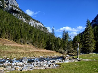 Górska dolina w Tatrach Zachodnich