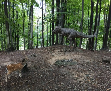 Teren Leśnego Parku Niespodzianek w Ustroniu