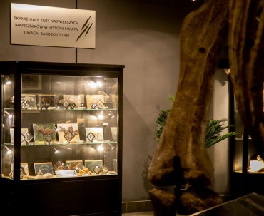 Wystawa "zęby drapieżników" w Muzeum Ziemi w Jura Parku Solec Kujawski