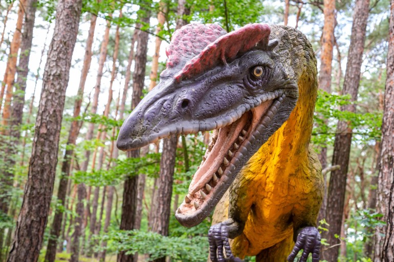 JuraPark w Solcu Kujawskim będący elementem wycieczki szkolnej na Kujawy: Toruń i Jura Park