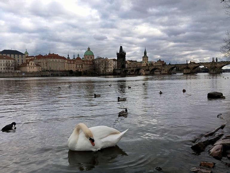 Widok na rzekę Wełtawę w stolicy Czech: Pradze